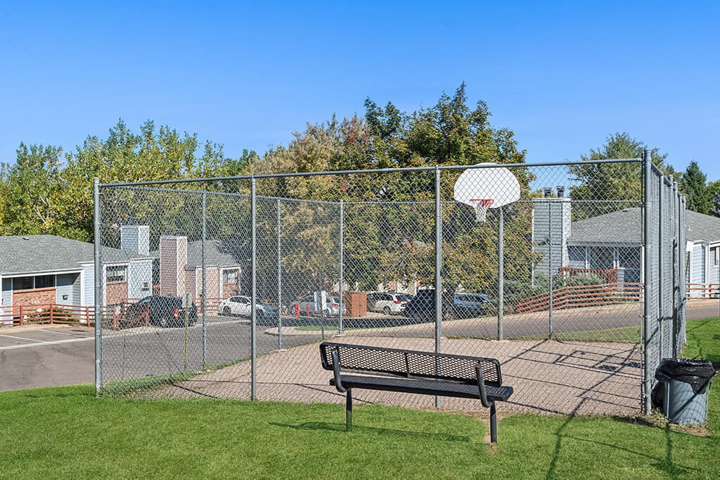 Basketball Court at The Pines in Lakewood CO